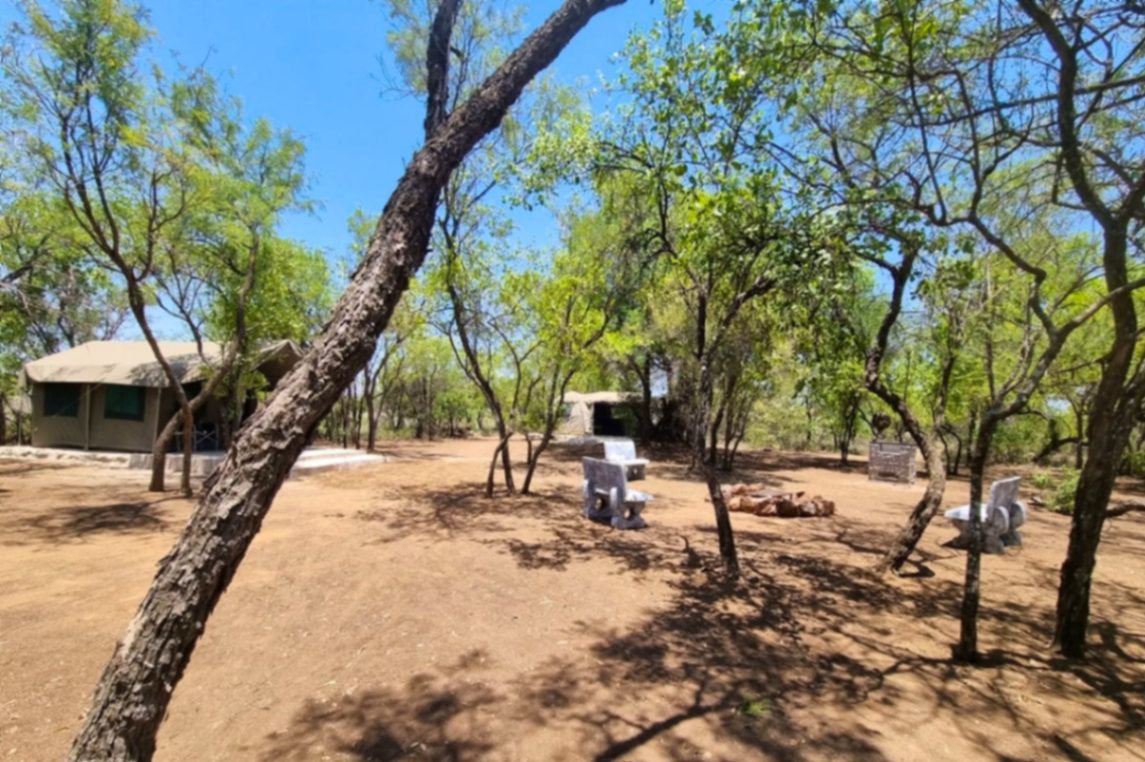 Bush camp overview