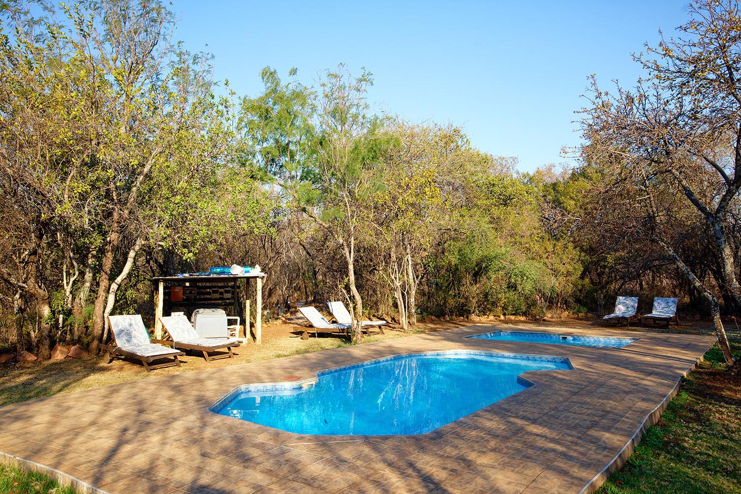 Two pools among the trees at Lords and Ladies Bush Lodge