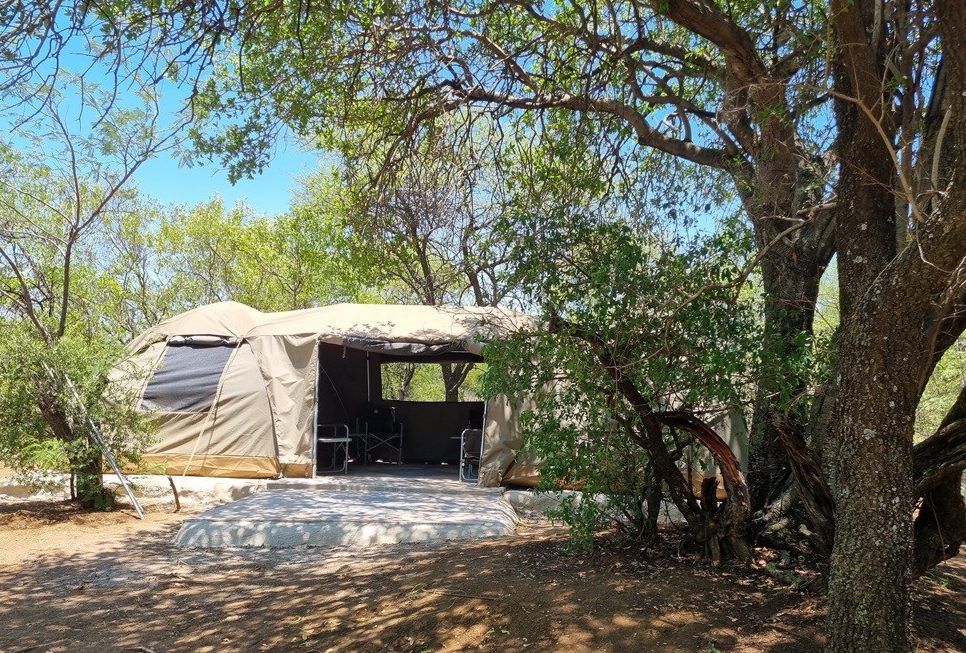 Bush camp detail