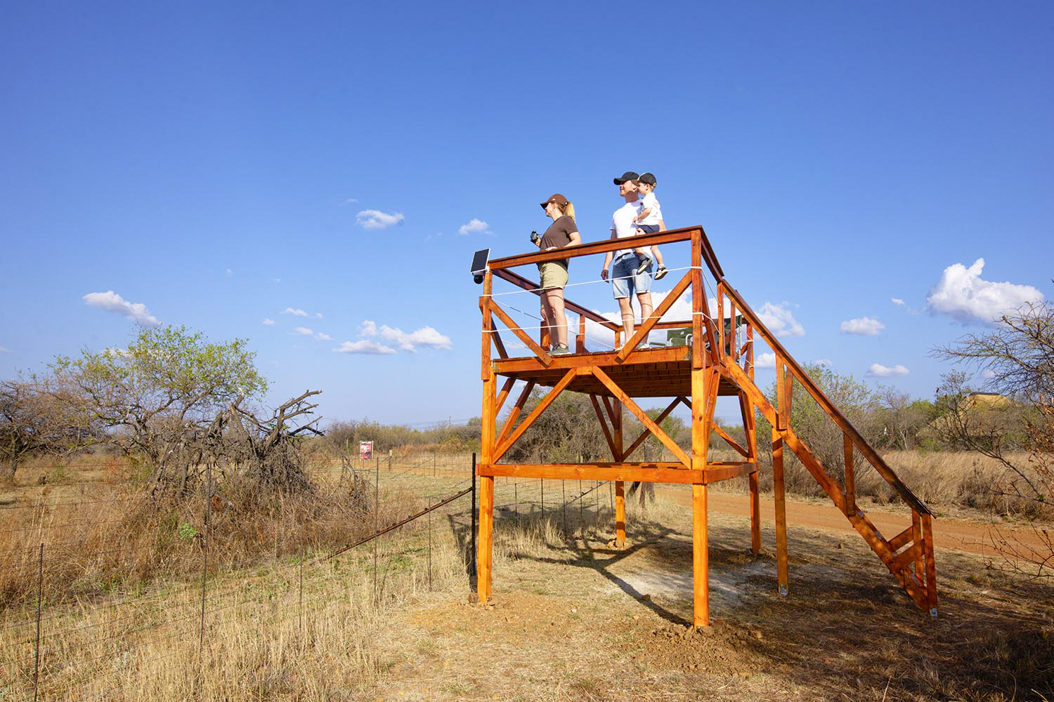 Raised wooden viewing deck surrounded by the Dinokeng bush