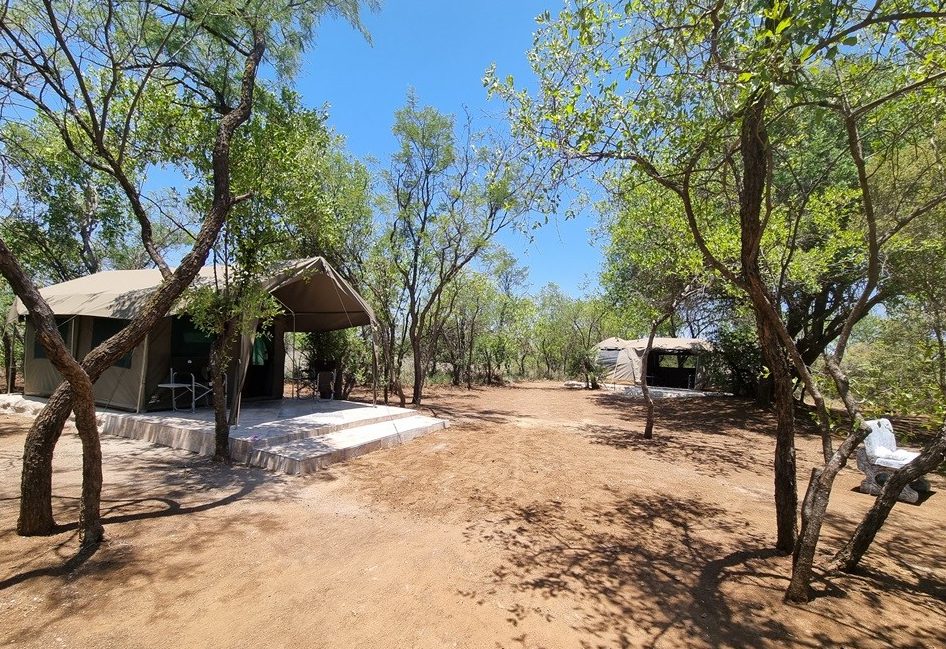 Bush camp main view
