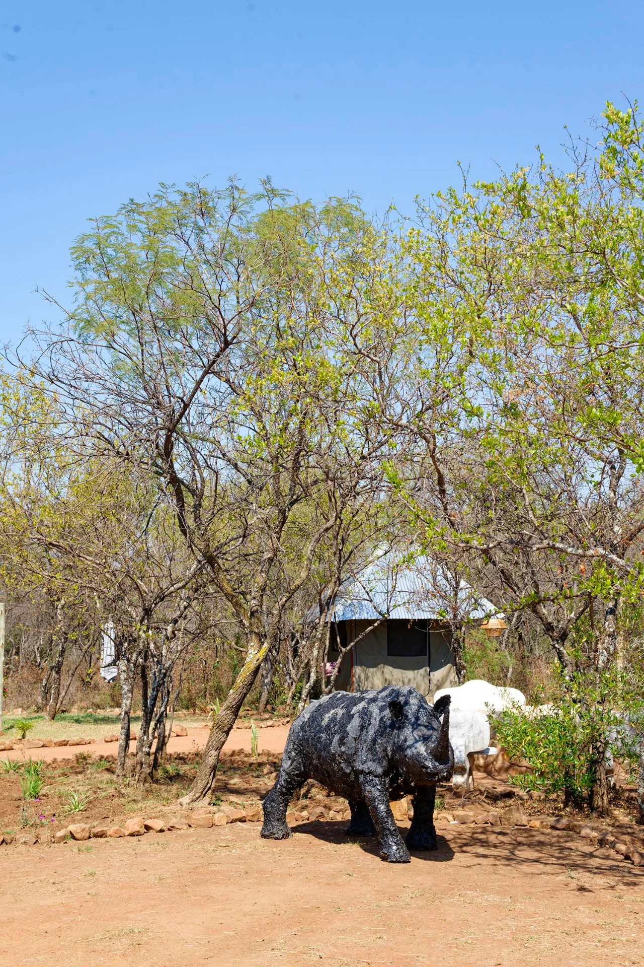 Rhino sculptures welcoming guests near reception