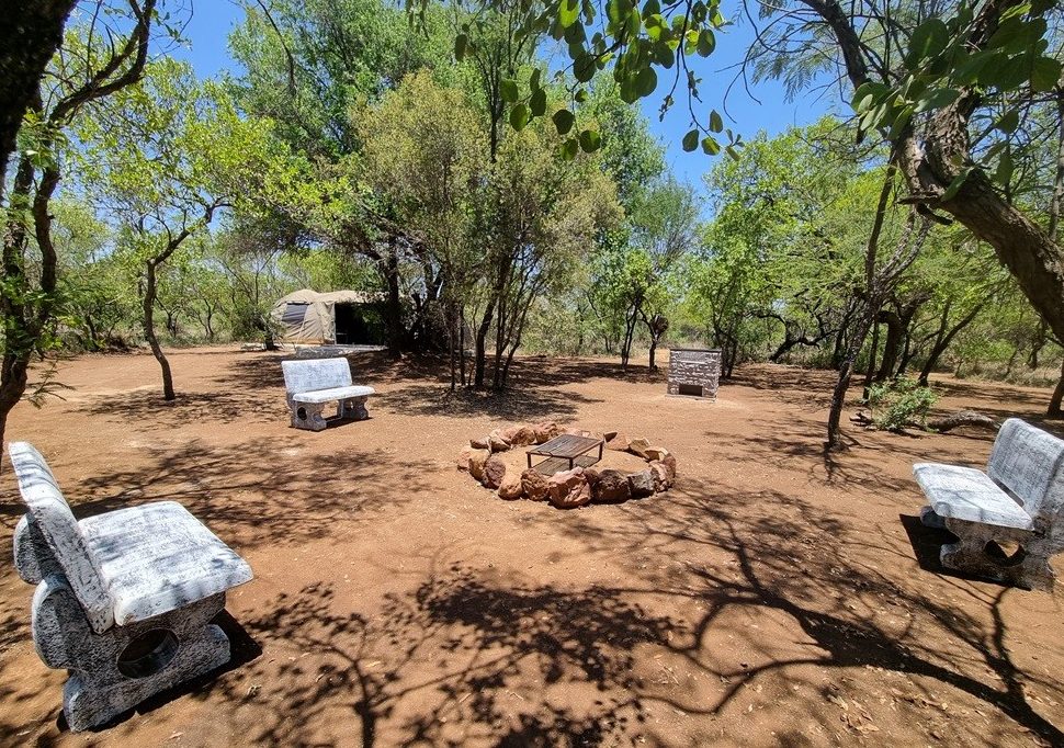 Bush camp detail