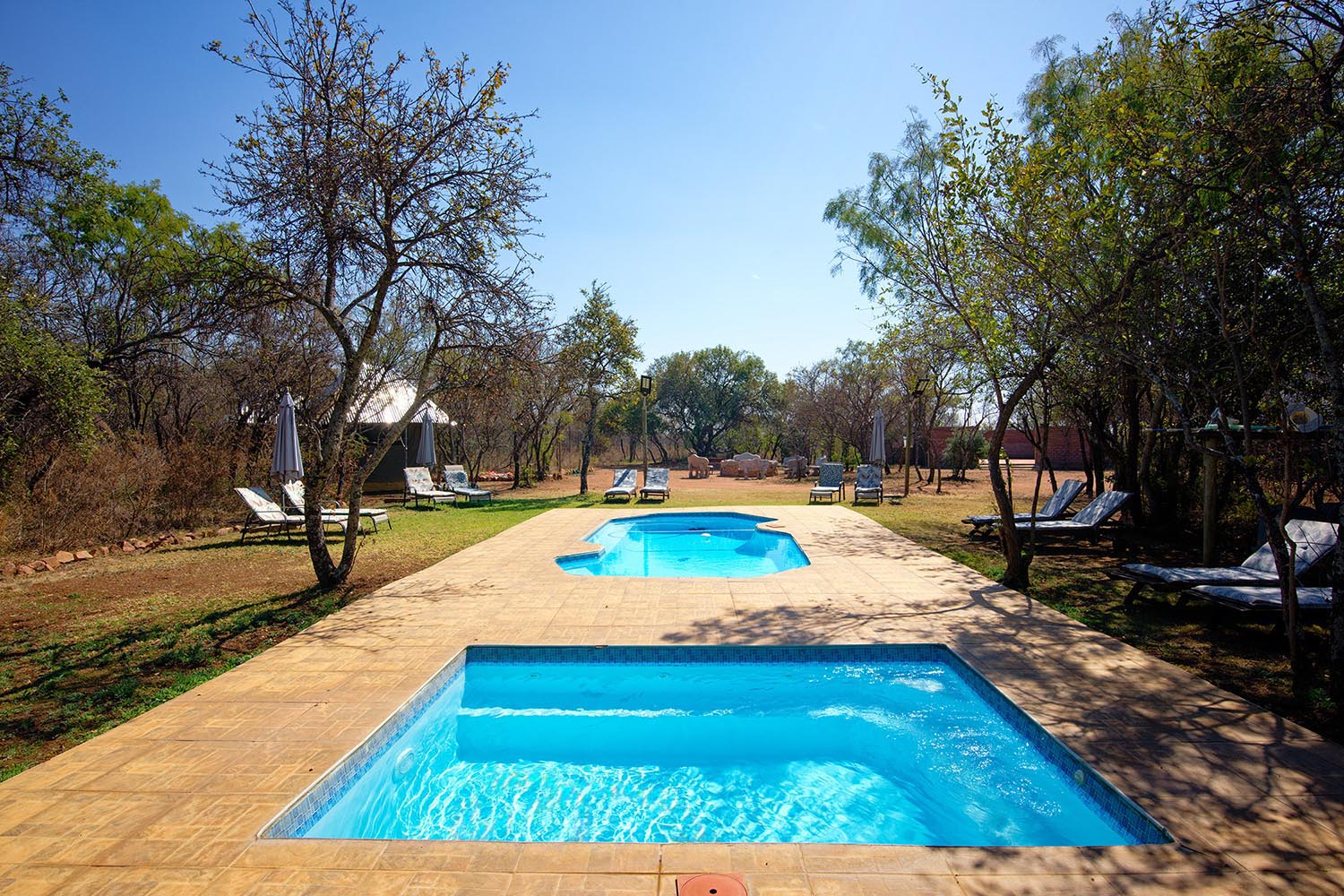 Heated and unheated swimming pools surrounded by loungers