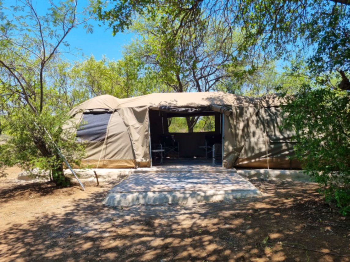 Safari tent